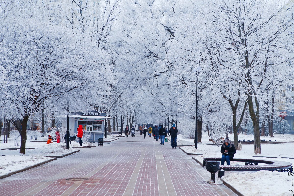 Ростов На Дону Зимой Фото