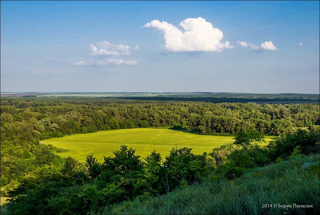 Красота донского края фото