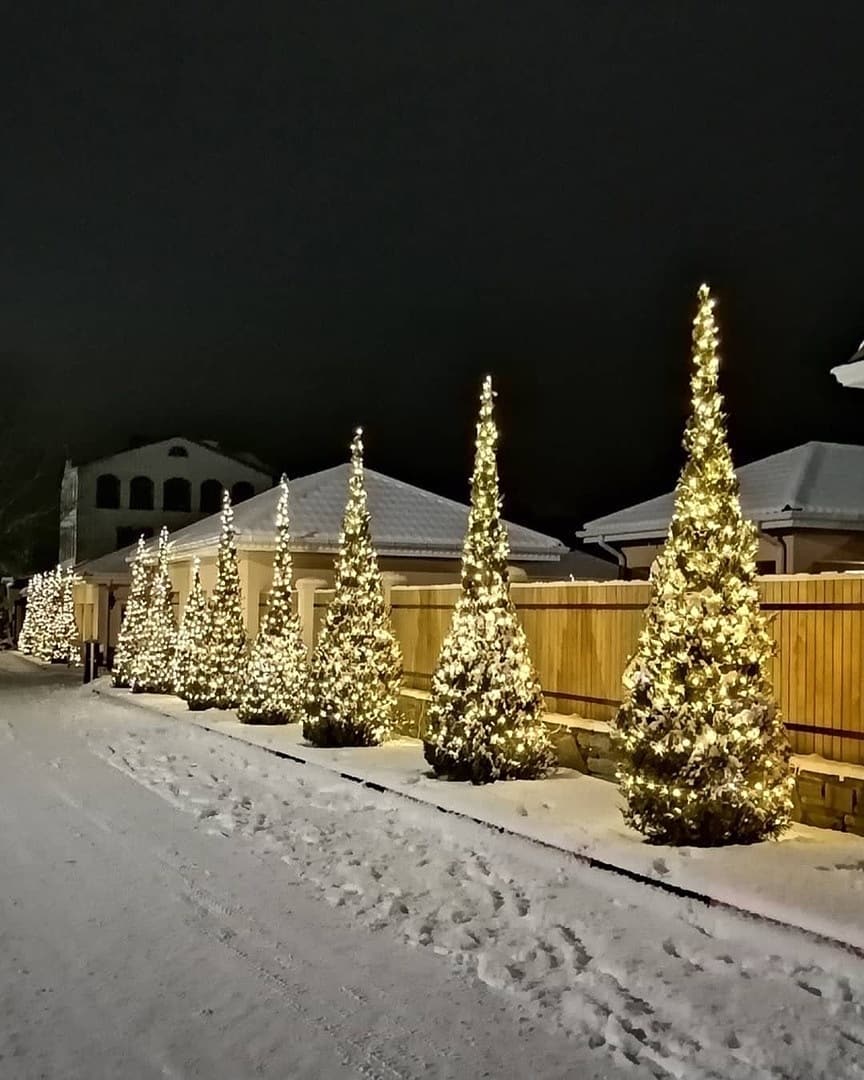 Логопарк ночью фото